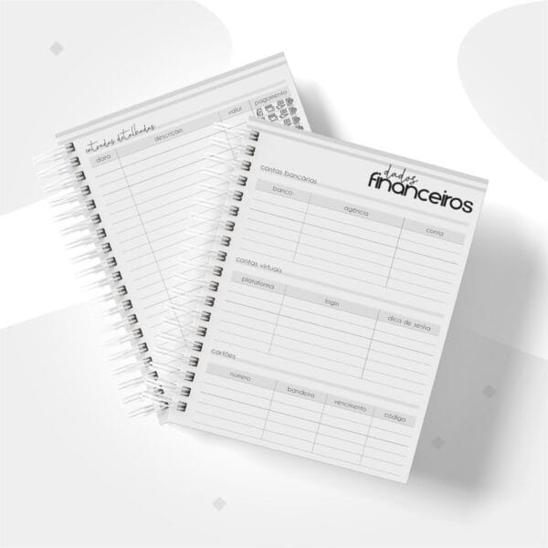 Planner Financeiro Empresas Masculino - Arquivo Digital