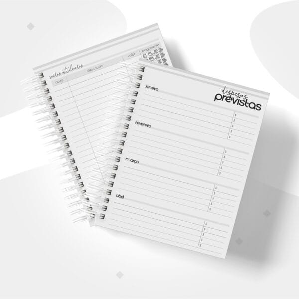 Planner Financeiro Empresas Masculino - Arquivo Digital