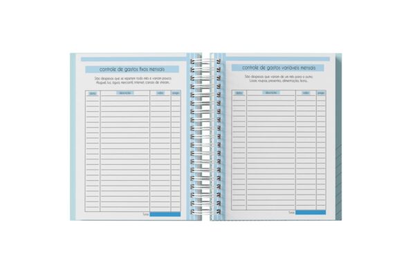 Planner Financeiro Feminino 2025 - Arquivo Digital - Imagem 5