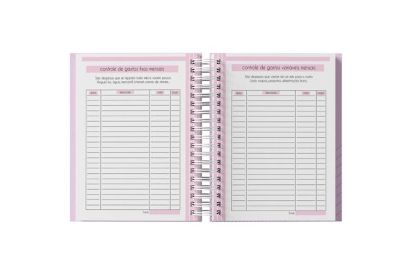 Planner Financeiro Feminino 2025 - Arquivo Digital - Imagem 4