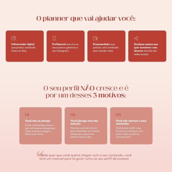 Planner Redes Sociais Conteúdo Perfeito Lívia Brasil Em Pdf
