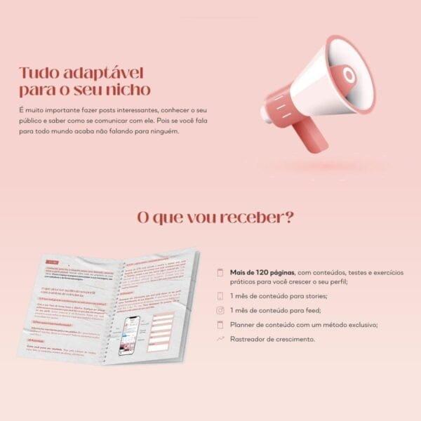 Planner Redes Sociais Conteúdo Perfeito Lívia Brasil Em Pdf