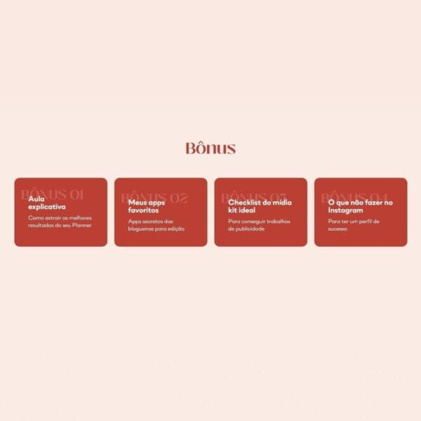 Planner Redes Sociais Conteúdo Perfeito Lívia Brasil Em Pdf