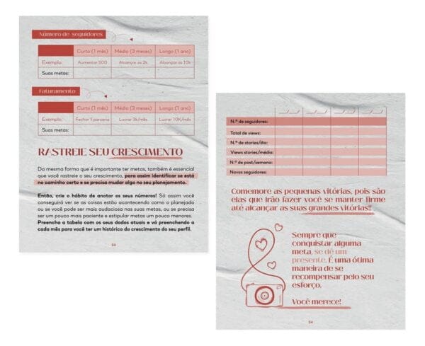 Planner Redes Sociais Conteúdo Perfeito Lívia Brasil Em Pdf