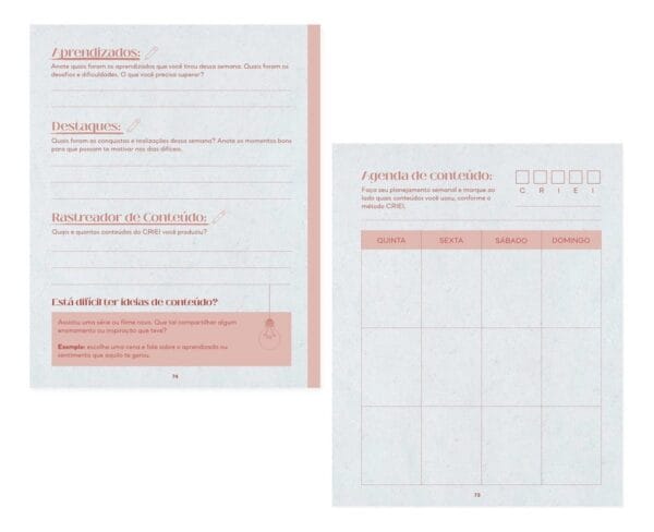 Planner Redes Sociais Conteúdo Perfeito Lívia Brasil Em Pdf