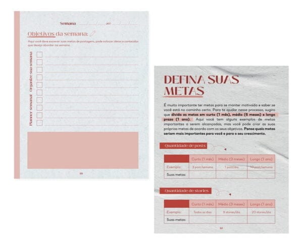 Planner Redes Sociais Conteúdo Perfeito Lívia Brasil Em Pdf