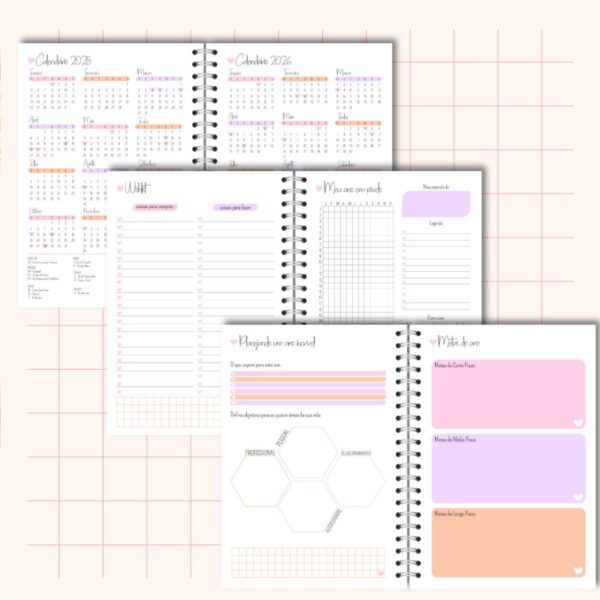 Planner Rose 2025 Feminino - Arquivo Digital - Imagem 5