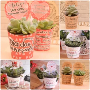 Presente DIY: Moldes de Suculentas para o Amor
