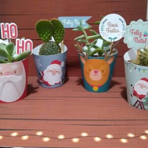 saias suculenta natal arquivo digital saia para suculenta